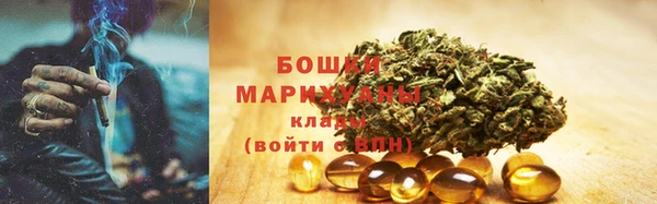 ПСИЛОЦИБИНОВЫЕ ГРИБЫ Армянск