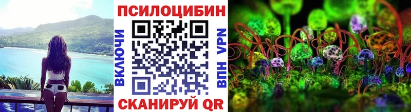 Галлюциногенные грибы GOLDEN TEACHER  что такое наркотик  Павловский Посад 